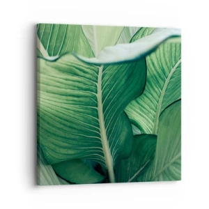 Tablou pe pânză - Viață intensă în verde - 30x30 cm