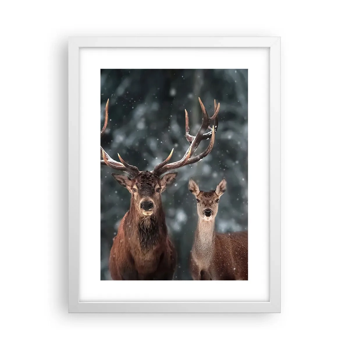 Poster în ramă albă - Stăpânul pădurii și soția sa - 30x40 cm