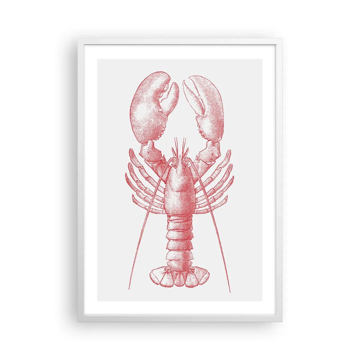 Poster în ramă albă - Homar demn de Homer - 50x70 cm