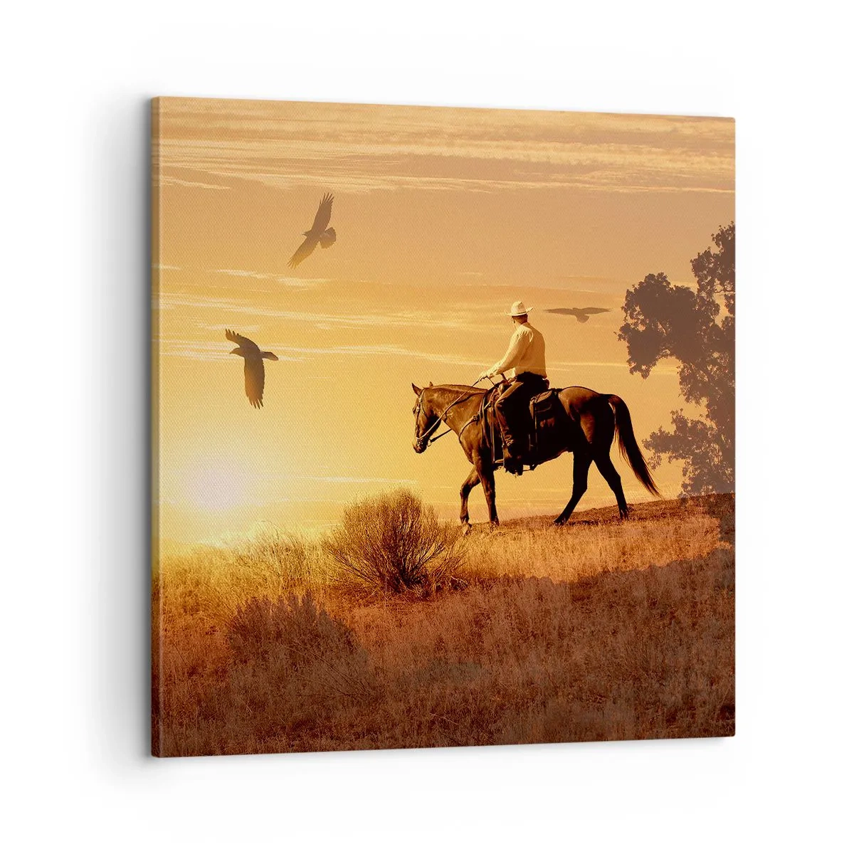 Tablou pe pânză - Singur peste prerie - 60x60 cm