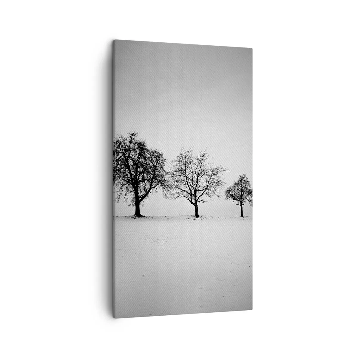 Tablou pe pânză - La ce visează? - 45x80 cm