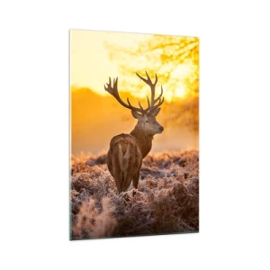 Tablou pe sticlă - Regele pădurii de toamnă - 70x100 cm