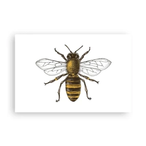 Poster - Frumoasă și bună - 91x61 cm