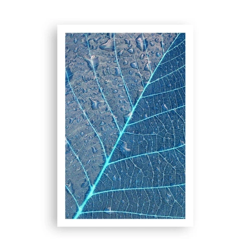 Poster - Viața în albastru - 61x91 cm