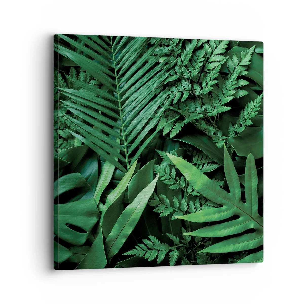 Tablou pe pânză - Înfășurate în verde - 30x30 cm