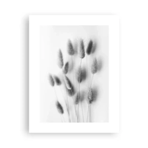 Poster - Pufoșenia ierbii - 30x40 cm