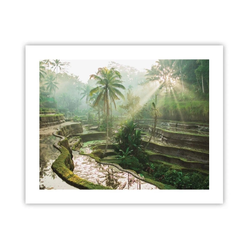 Poster - Crescând la soare - 50x40 cm