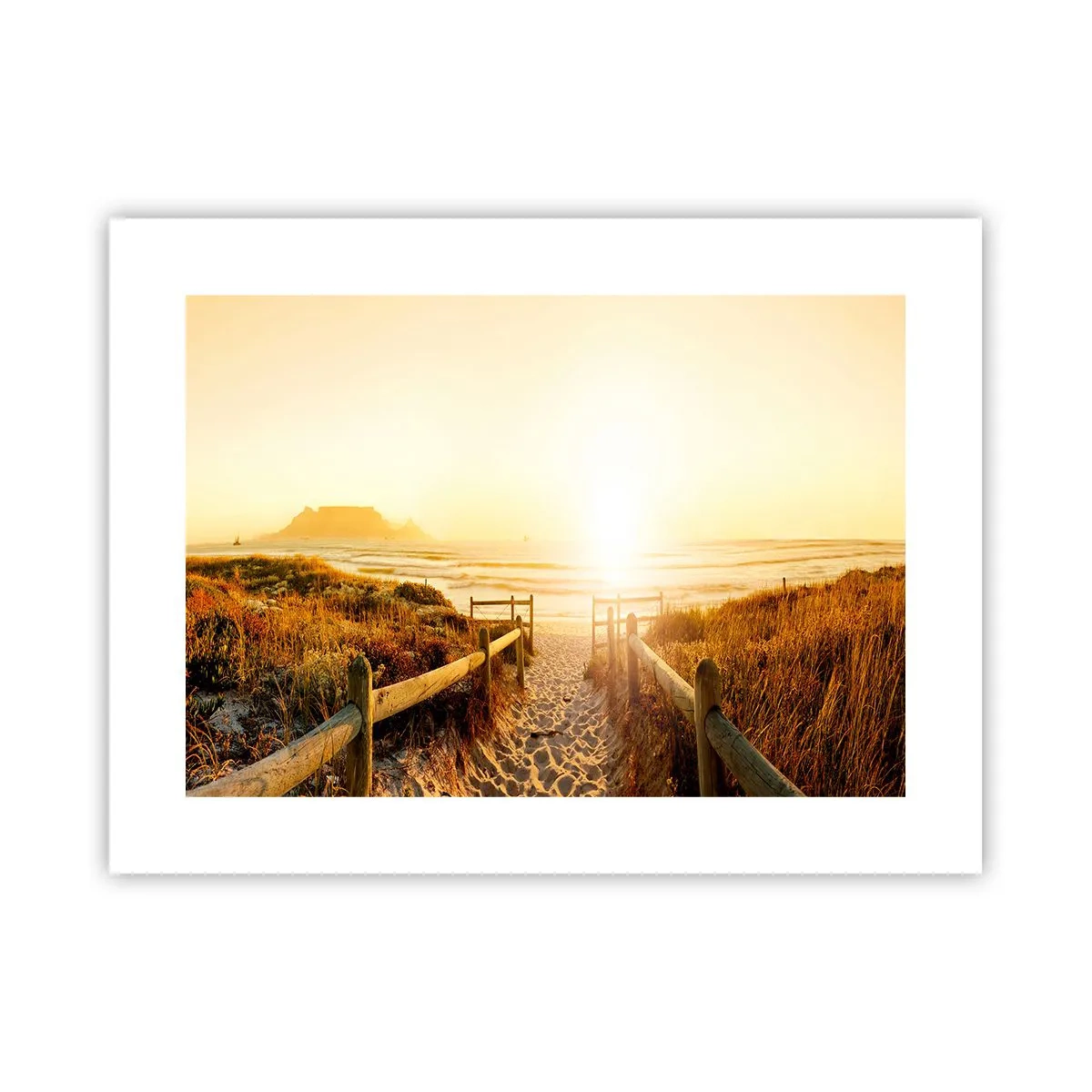 Poster - Prin dune spre soare - 40x30 cm