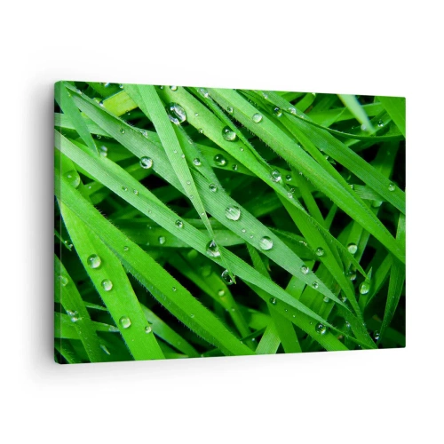 Tablou pe pânză Canvas - Prim-plan cu fire verzi de iarbă cu picături de rouă - 70x50cm - Joacă de-a verdele - Decorațiune modernă pentru perete pentru living și dormitor ARTTOR