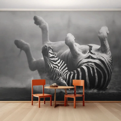 Tapet Autoadeziv Deluxe Sticker - Distracție - Animale, Coaste, Natură - 250x175 cm