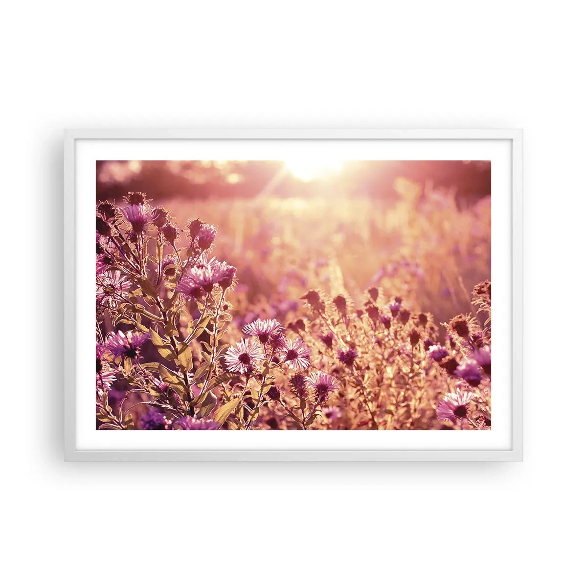 Poster în ramă albă - Înainte ca vara să plece - 70x50 cm