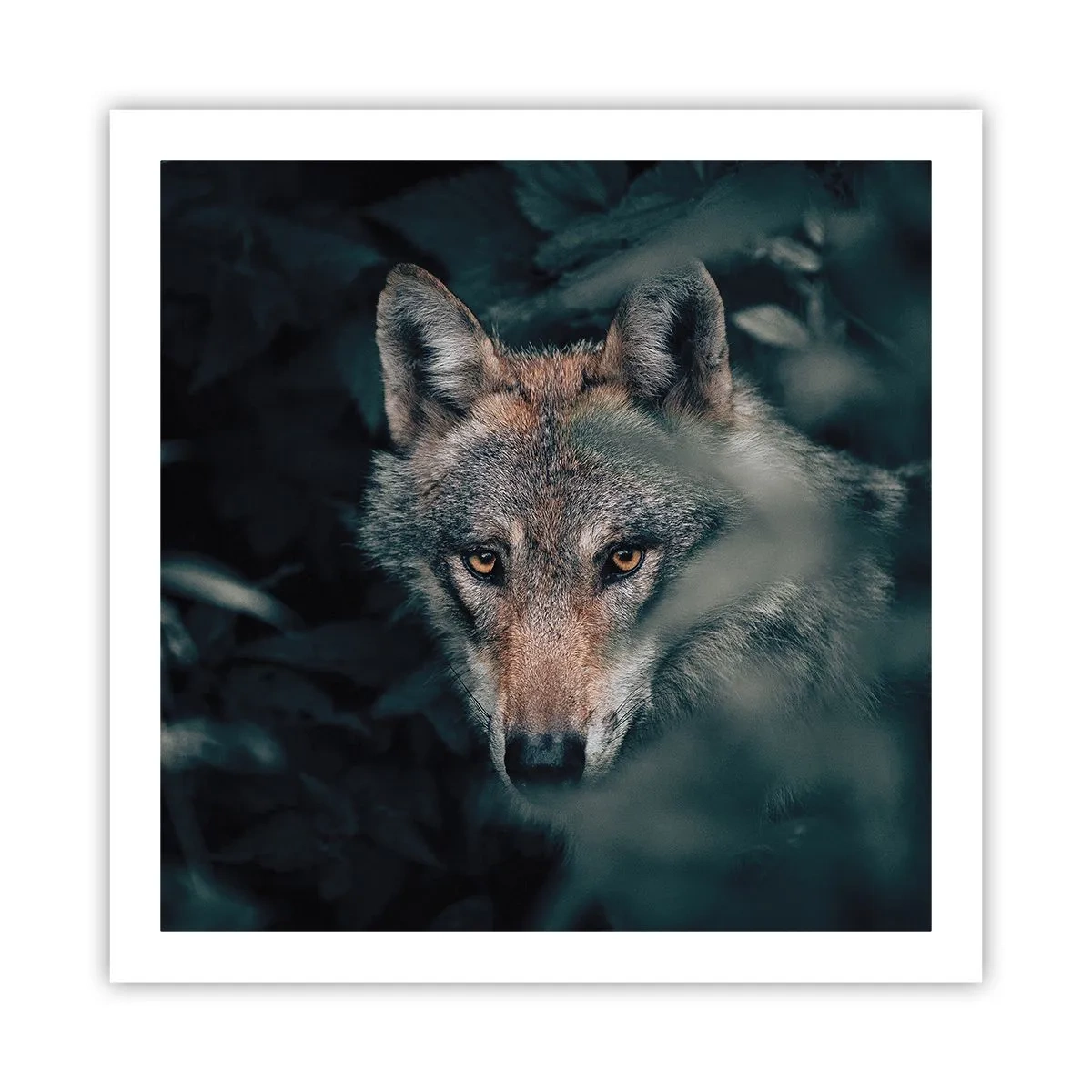 Poster - Vânător - 60x60 cm