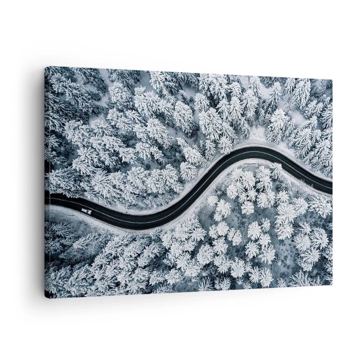 Tablou pe pânză - Prin pădurea de iarnă - 70x50 cm