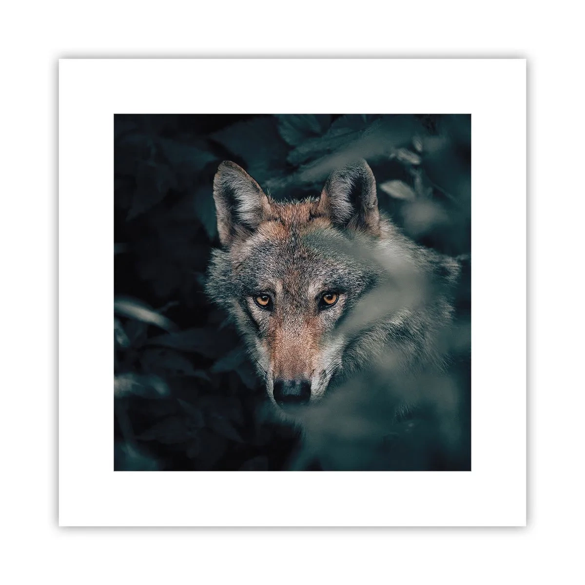 Poster - Vânător - 30x30 cm