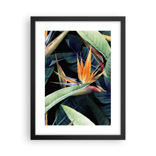 Poster în ramă neagră - Florile de flacără ale tropicelor - 30x40 cm