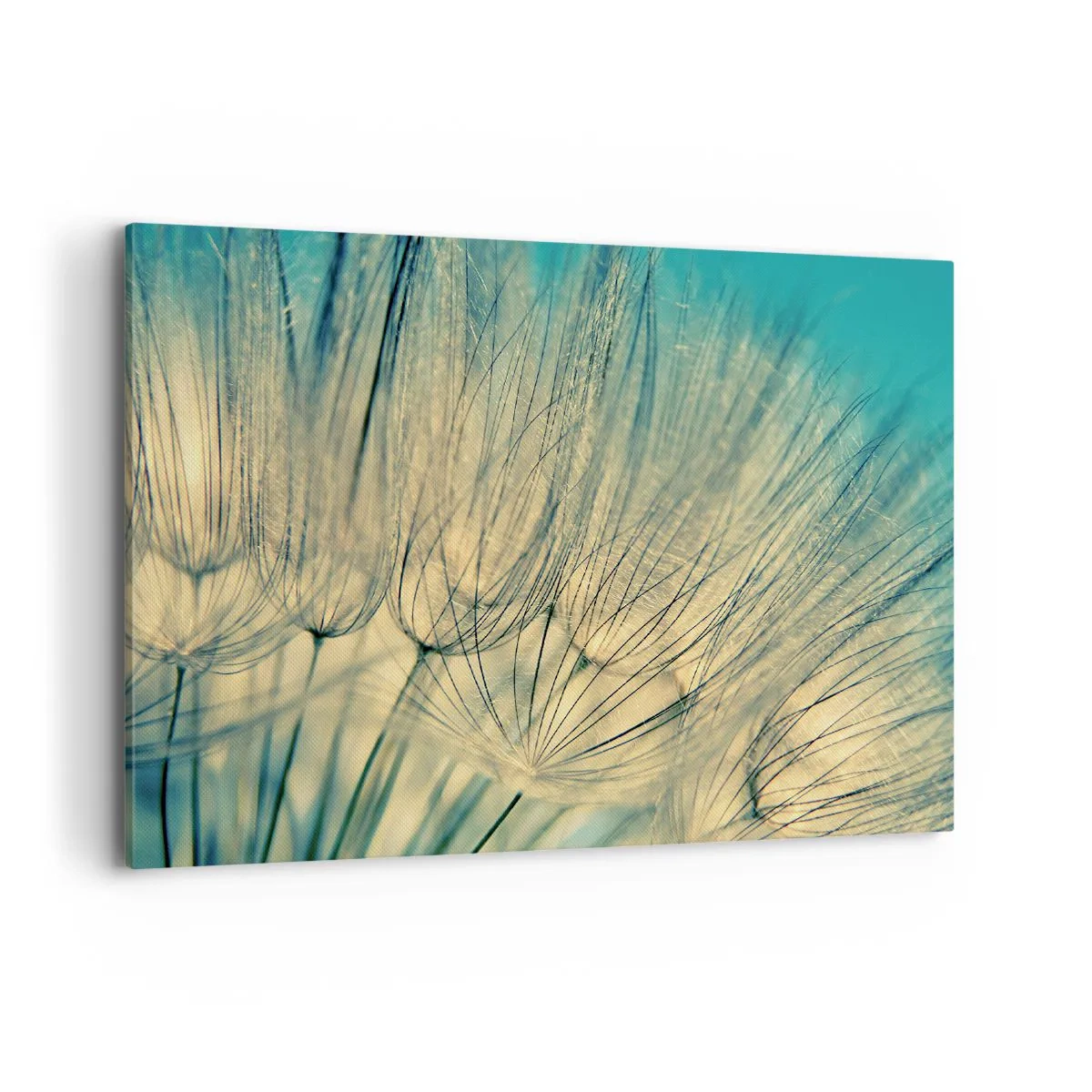 Tablou pe pânză - Așteptând vântul - 100x70 cm