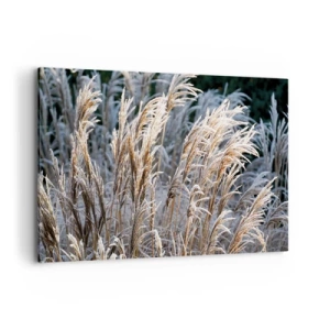 Tablou pe pânză - Împodobite cu brumă - 120x80 cm