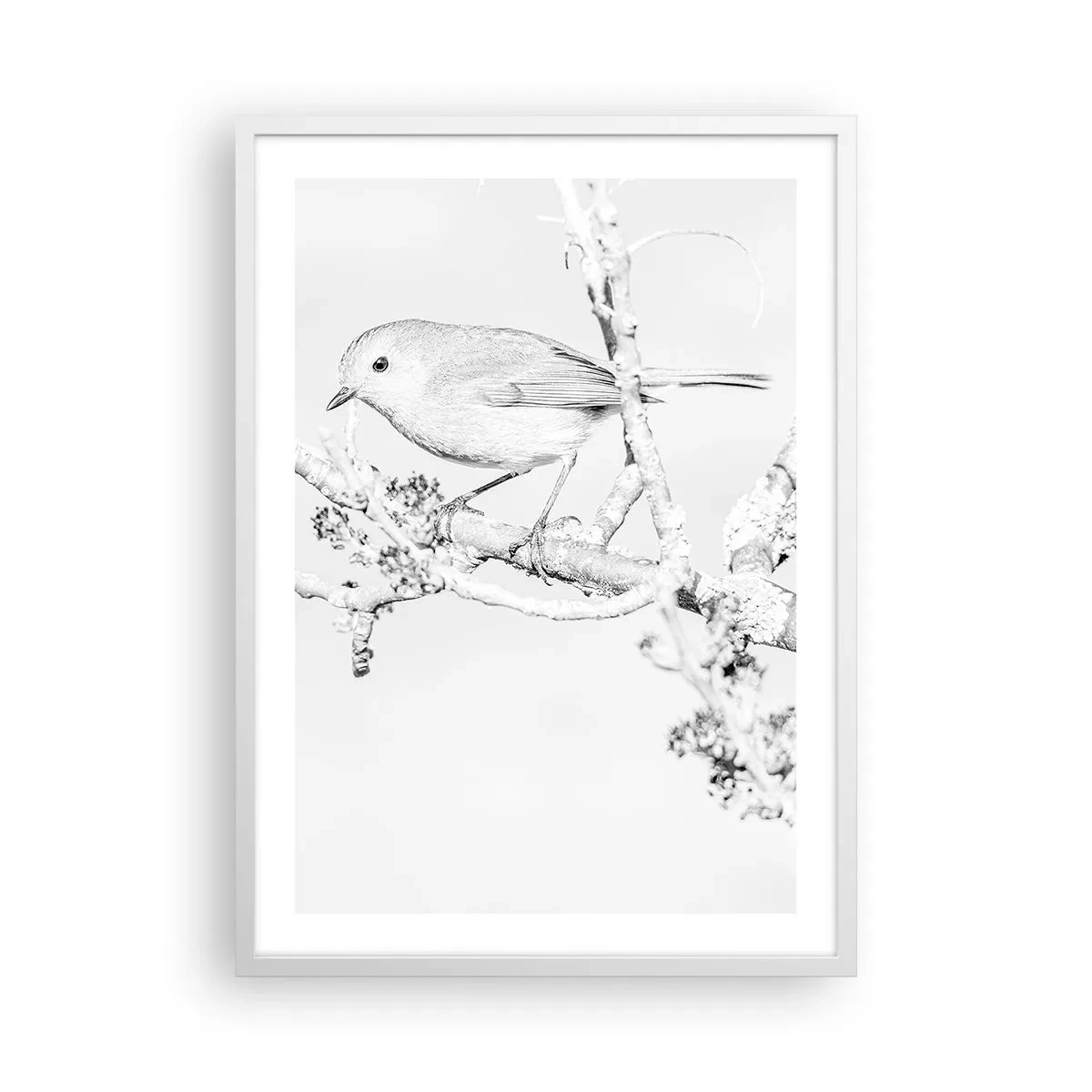 Poster în ramă albă - Dimineață de iarnă - 50x70 cm