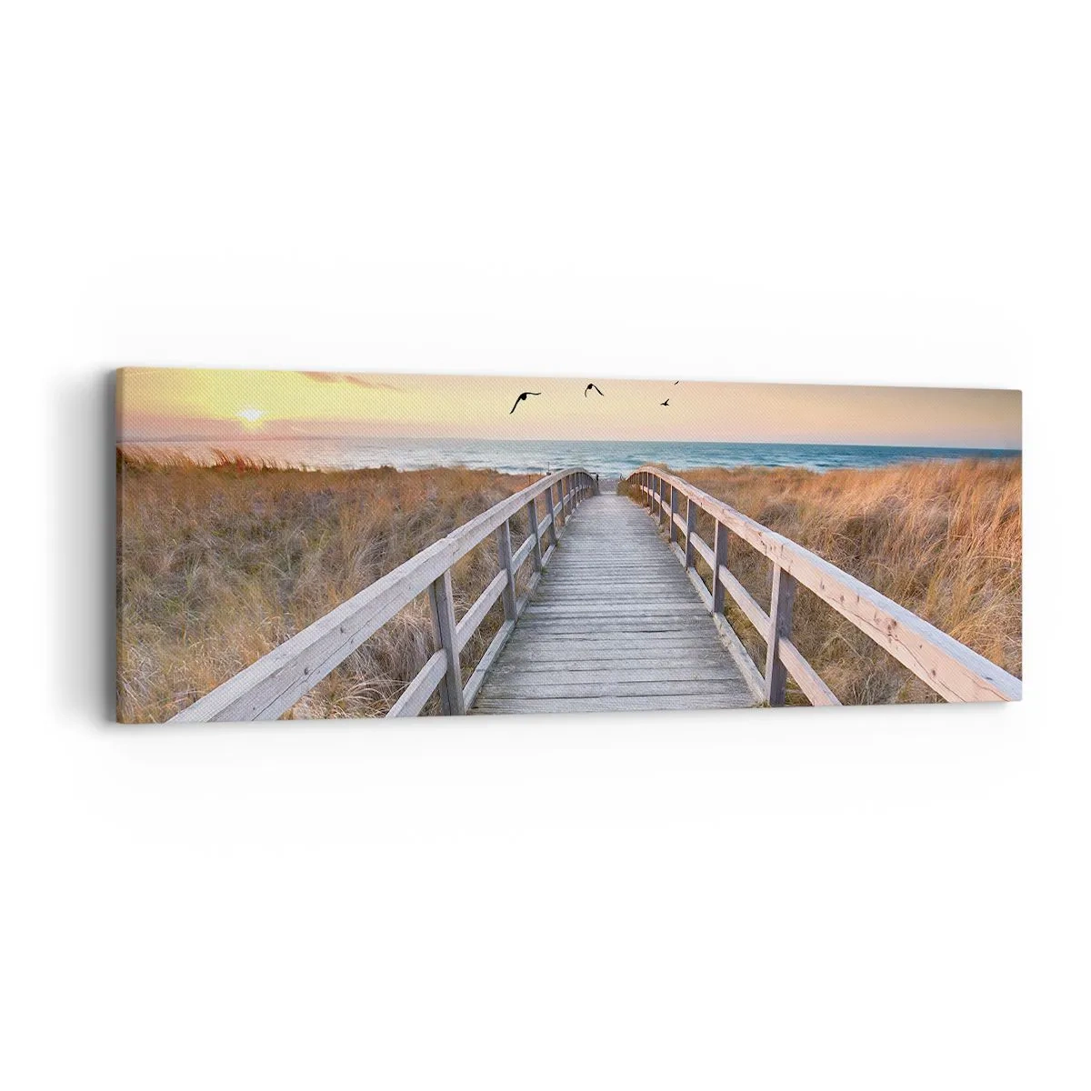 Tablou pe pânză - Spațiul pentru a zbura - 90x30 cm