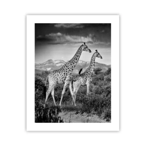 Poster - Clasele superioare din Africa - 40x50 cm