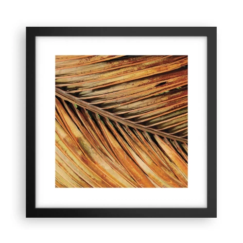 Poster în ramă neagră - Aur de nucă de cocos - 30x30 cm