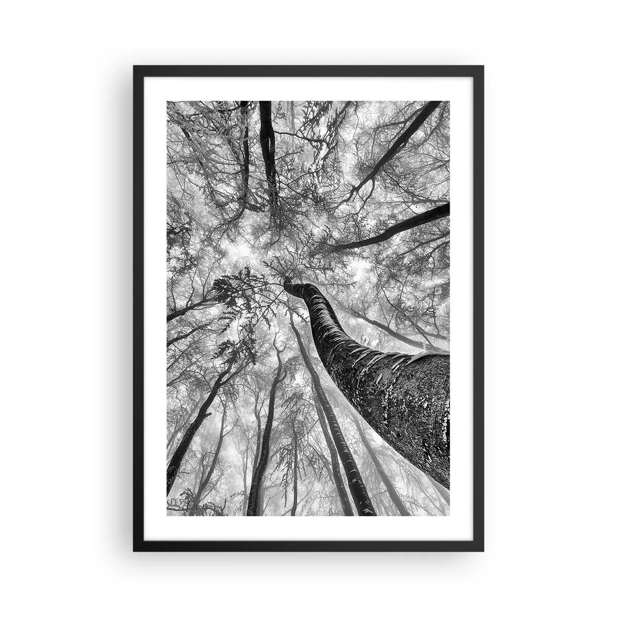 Poster în ramă neagră - Perspectiva copacilor în alb și negru - 50x70cm - Cursa spre lumină - Decorațiune modernă pentru perete pentru living și dormitor ARTTOR