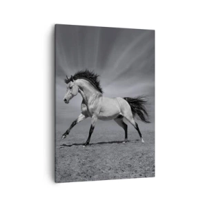 Tablou pe pânză - Născut pentru a încânta - 50x70 cm