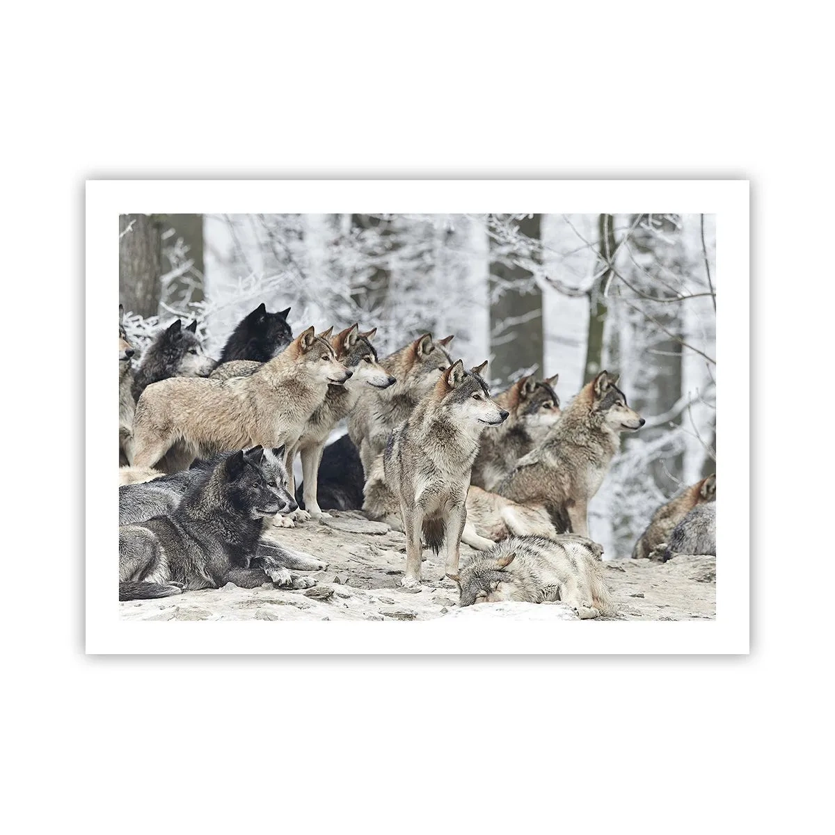 Poster - Familie și prieteni - 70x50 cm