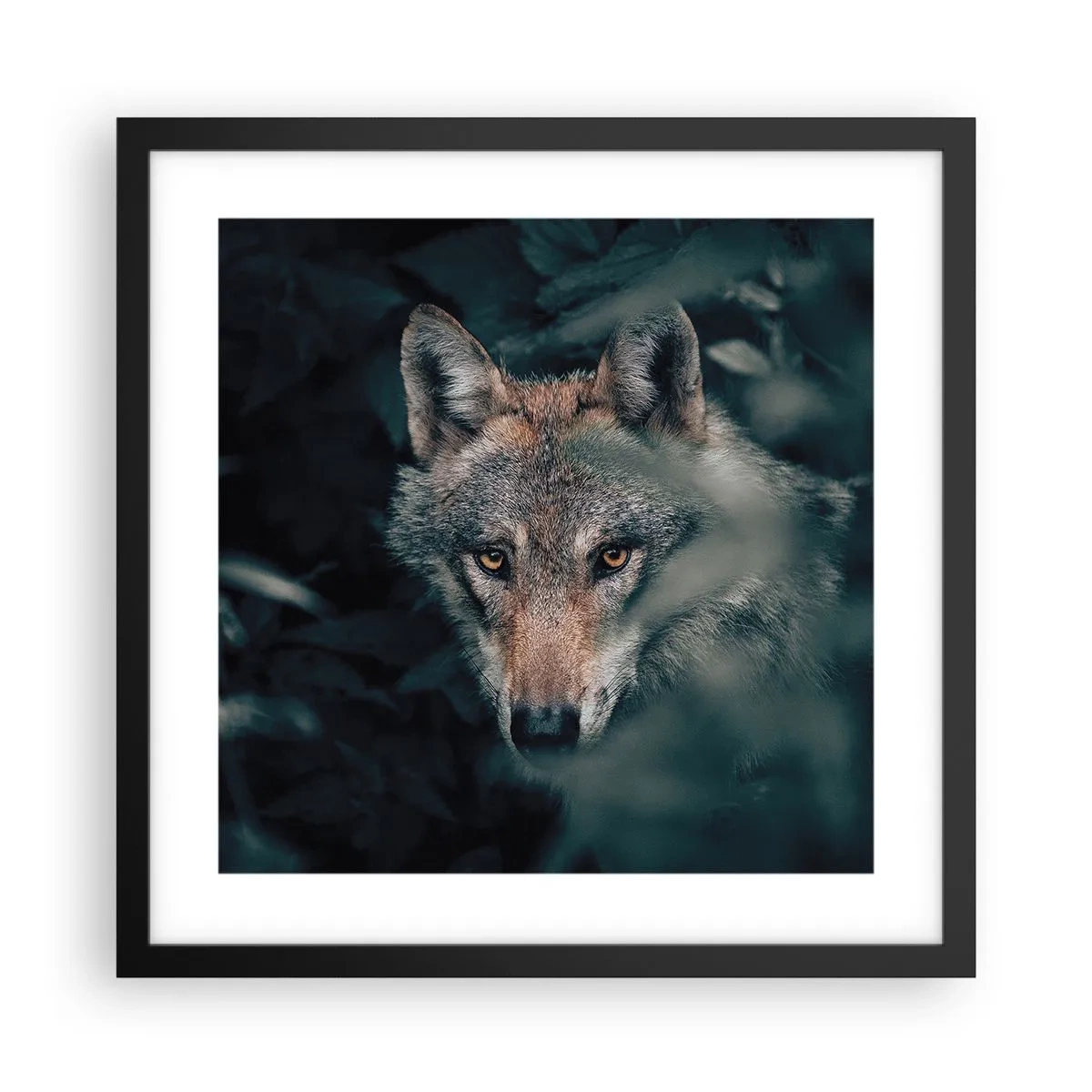 Poster în ramă neagră - Vânător - 40x40 cm