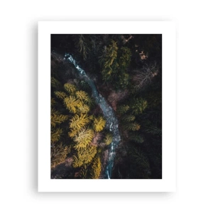 Poster - Rapid și mai rapid - 40x50 cm