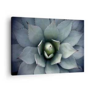 Tablou pe pânză Canvas - Prim-plan al unei rozete de agave în nuanțe delicate de verde - 70x50cm - Momește și avertizează - Decorațiune modernă pentru perete pentru living și dormitor ARTTOR