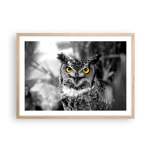 Poster în ramă de stejar deschis - Nimic nu poate fi ascuns - 70x50 cm