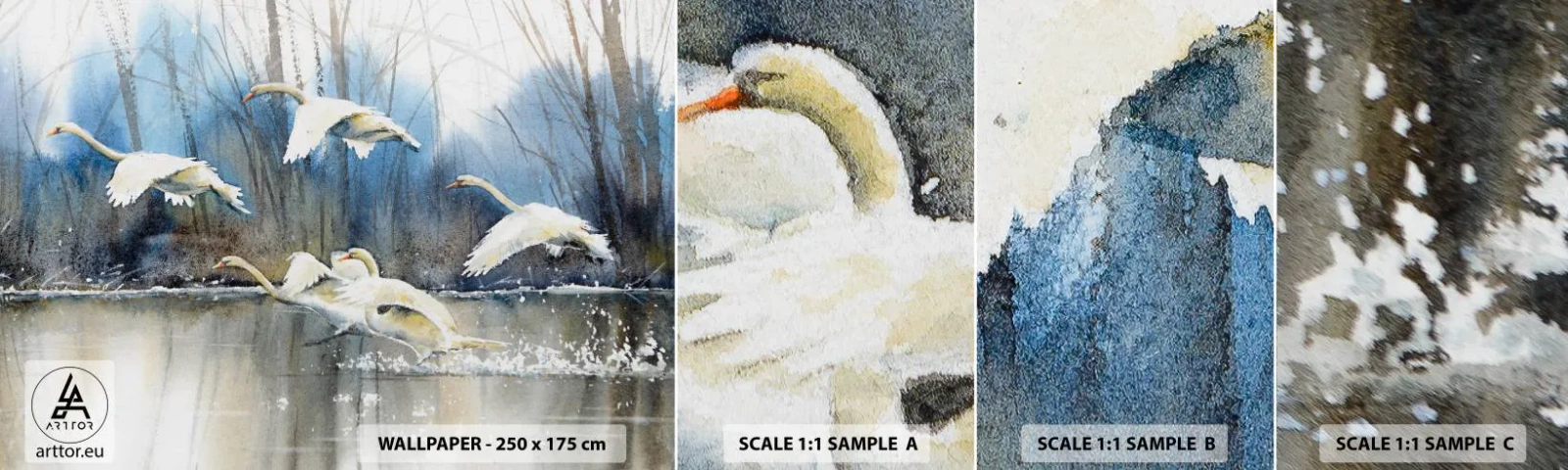 Mostră tapet autocolant Deluxe Sticker - Dansând cu lebedele sălbatice - Lebedele, Păsări, Peisaj - 100x30 cm