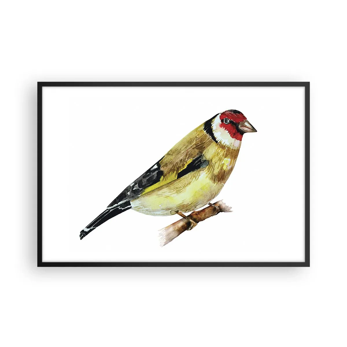 Poster în ramă neagră - Portret de pasăre - 91x61 cm