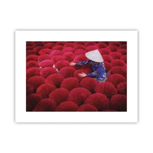 Poster - Într-un câmp de orez - 40x30 cm