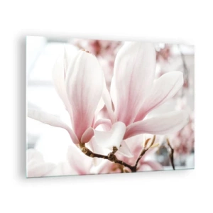 Tablou pe sticlă - Magnolii roz delicate în prim-plan pe un fundal neclar - 70x50cm - Imensitatea sensibilității - Decorațiune modernă pentru perete pentru living și dormitor ARTTOR