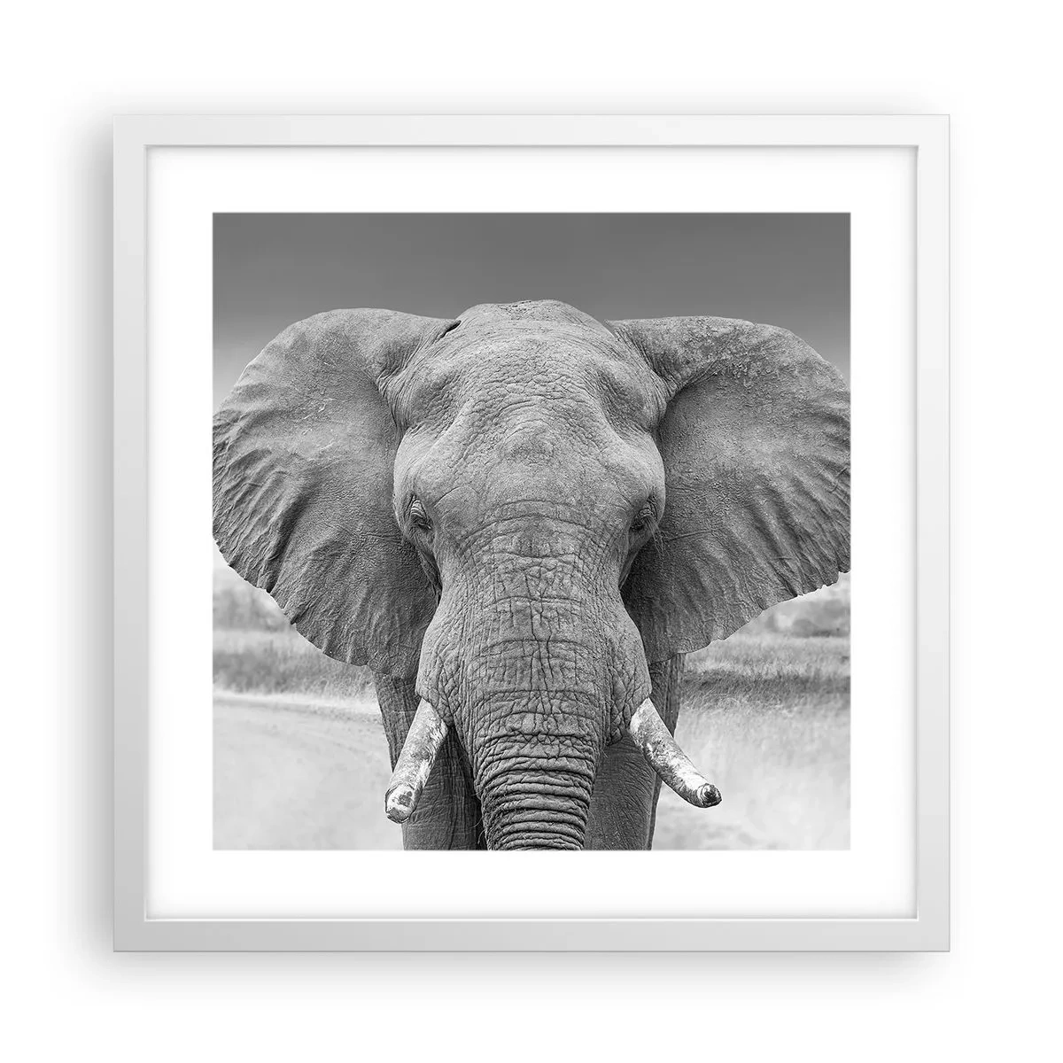 Poster în ramă albă - Bun venit în lumea mea - 40x40 cm