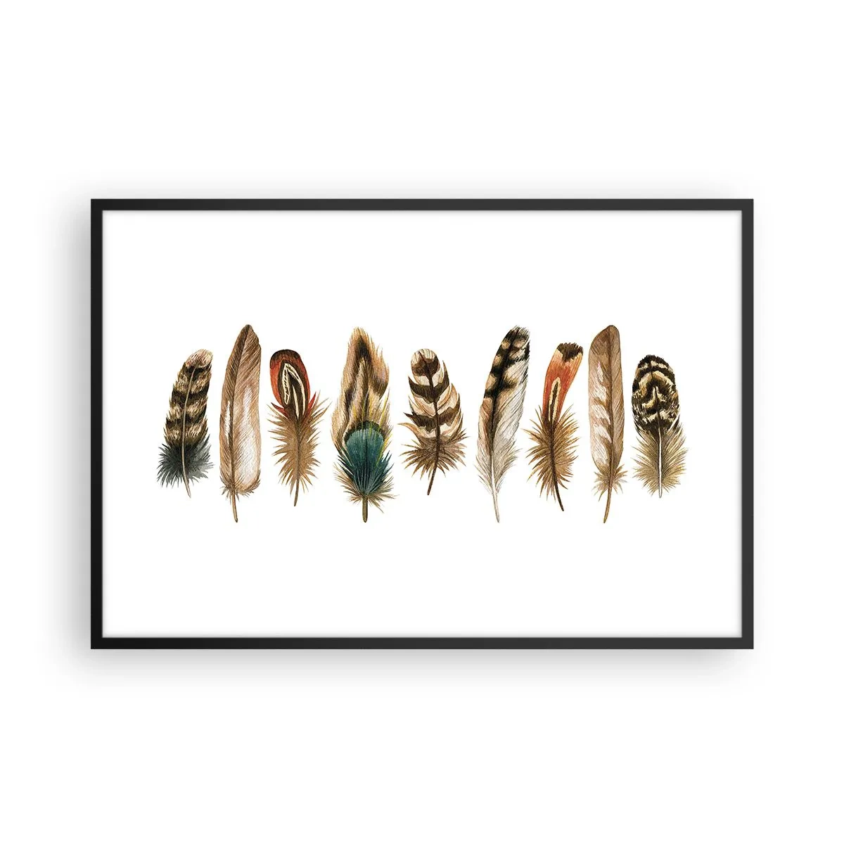 Poster în ramă neagră - Variație cu pene - 91x61 cm