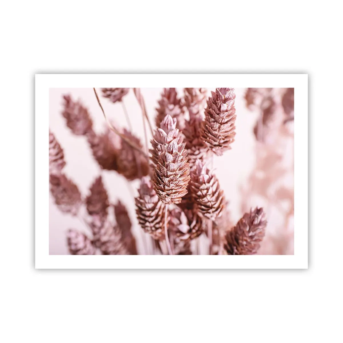 Poster - Aparent discrete - 70x50 cm