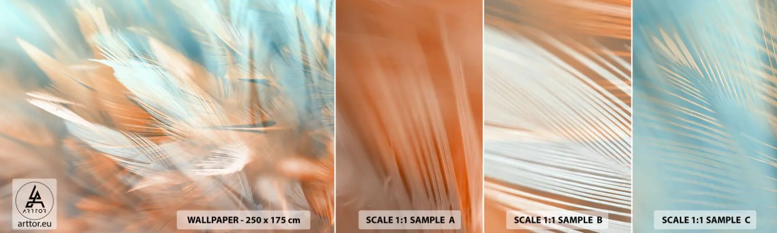 Mostră de Tapet Standard Eco - În țara blândeții - Delicat, pene, Minimalism - 100x30 cm