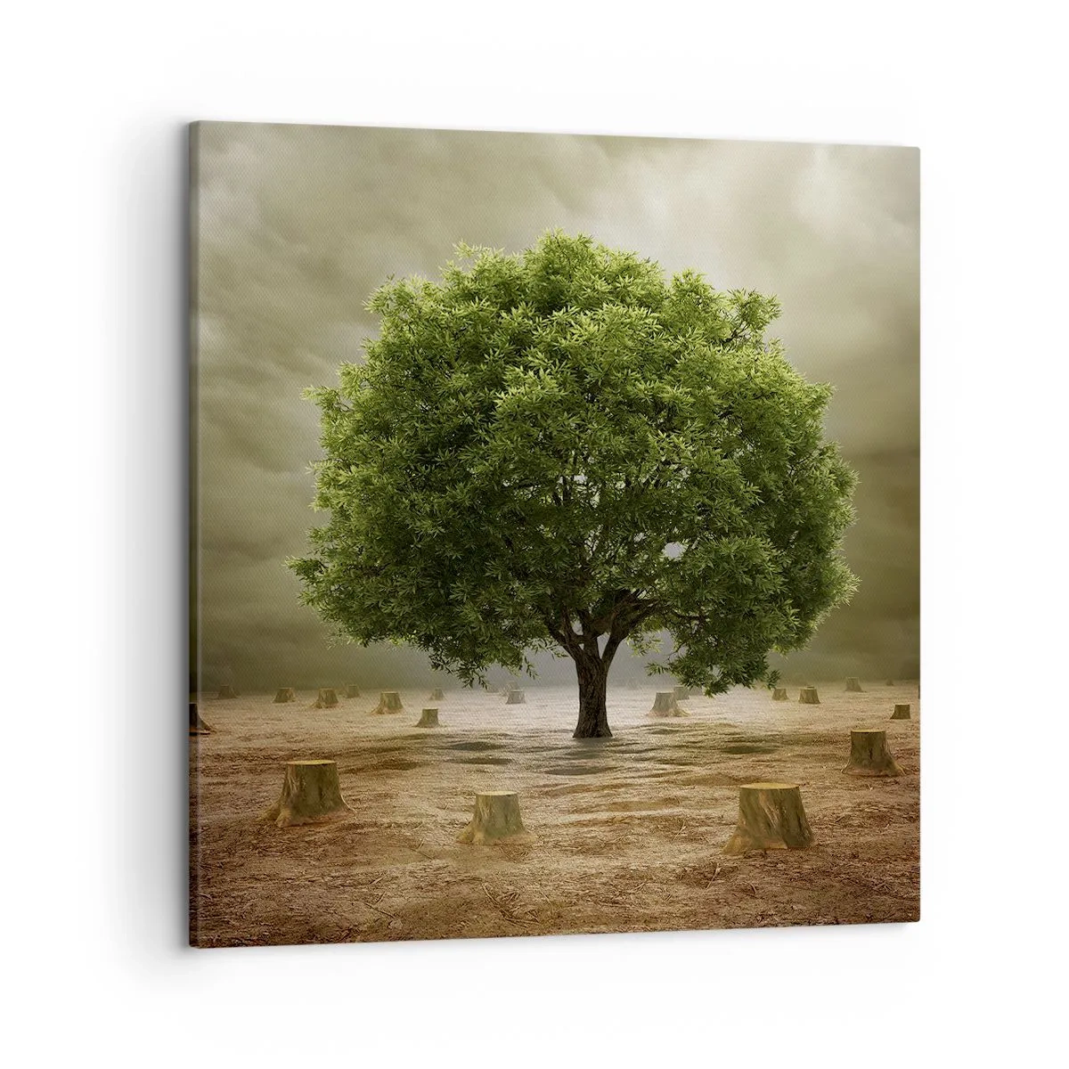 Tablou pe pânză - Toate speranțele - 50x50 cm