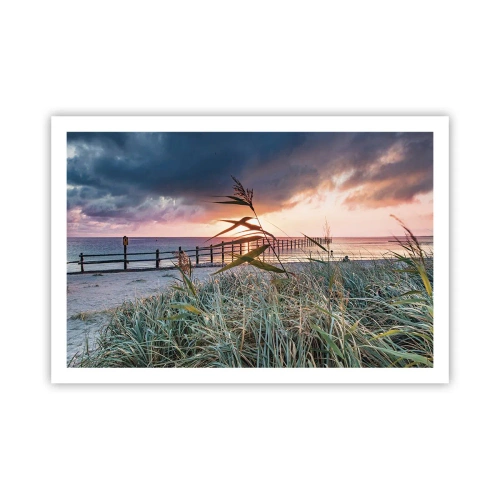 Poster - Nu trece cu vântul - 91x61 cm