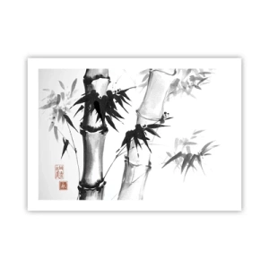 Poster - Primul-plan al Orientului - 70x50 cm