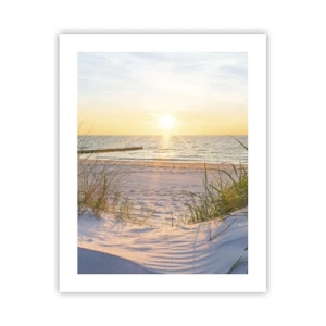 Poster - Zumzet de mare, o plajă sălbatică printre ierburi... - 40x50 cm