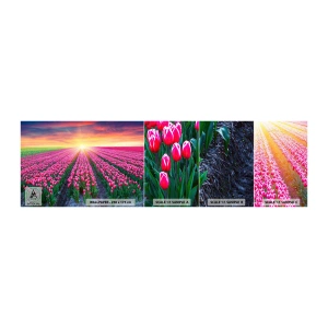 Mostră tapet autocolant Deluxe Sticker - Ferma de frumusețe - Flori, Lalele, Apus de soare - 100x30 cm