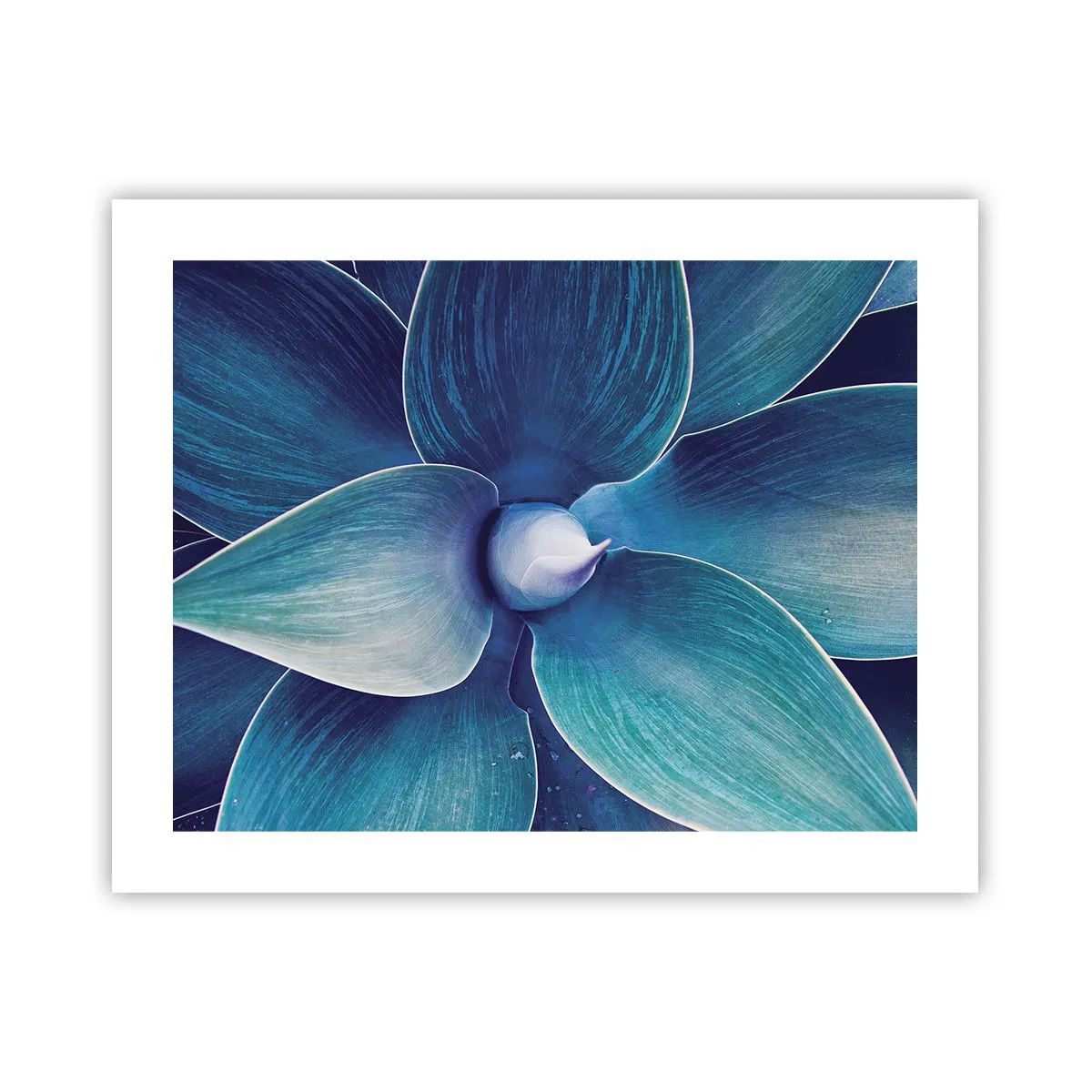 Poster - A furat albastrul de la cer - 50x40 cm