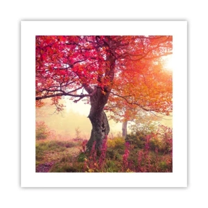 Poster - O frenezie de înflorire - 40x40 cm