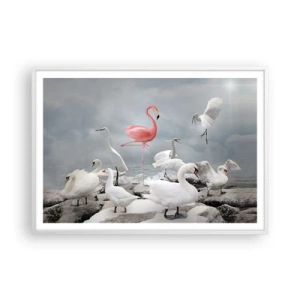 Poster în ramă albă - De unde am venit? - 100x70 cm
