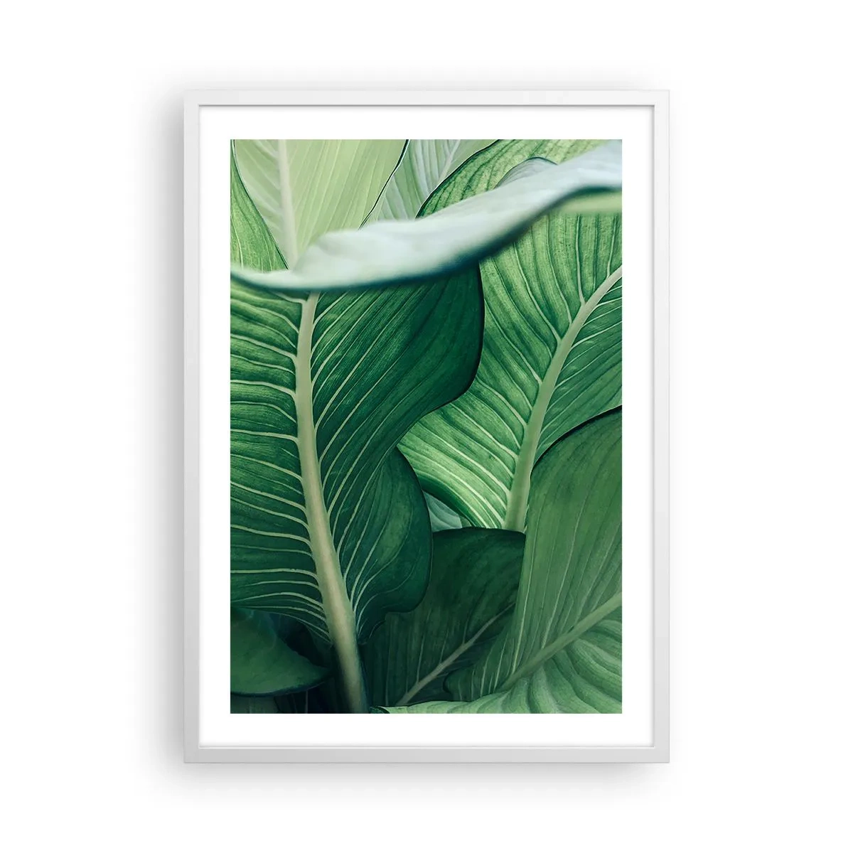 Poster în ramă albă - Viață intensă în verde - 50x70 cm