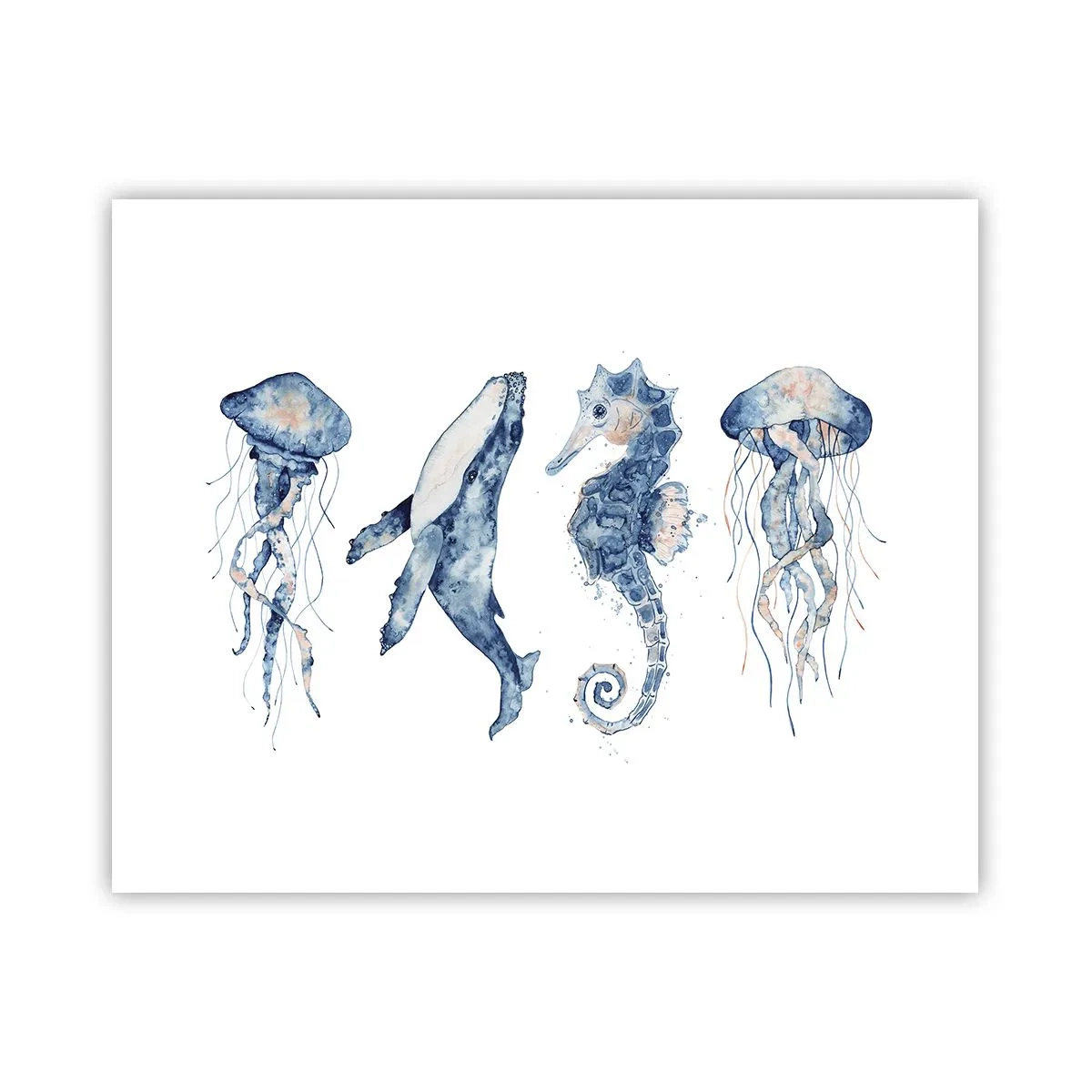 Poster - Fauna marină sălbatică - 50x40 cm